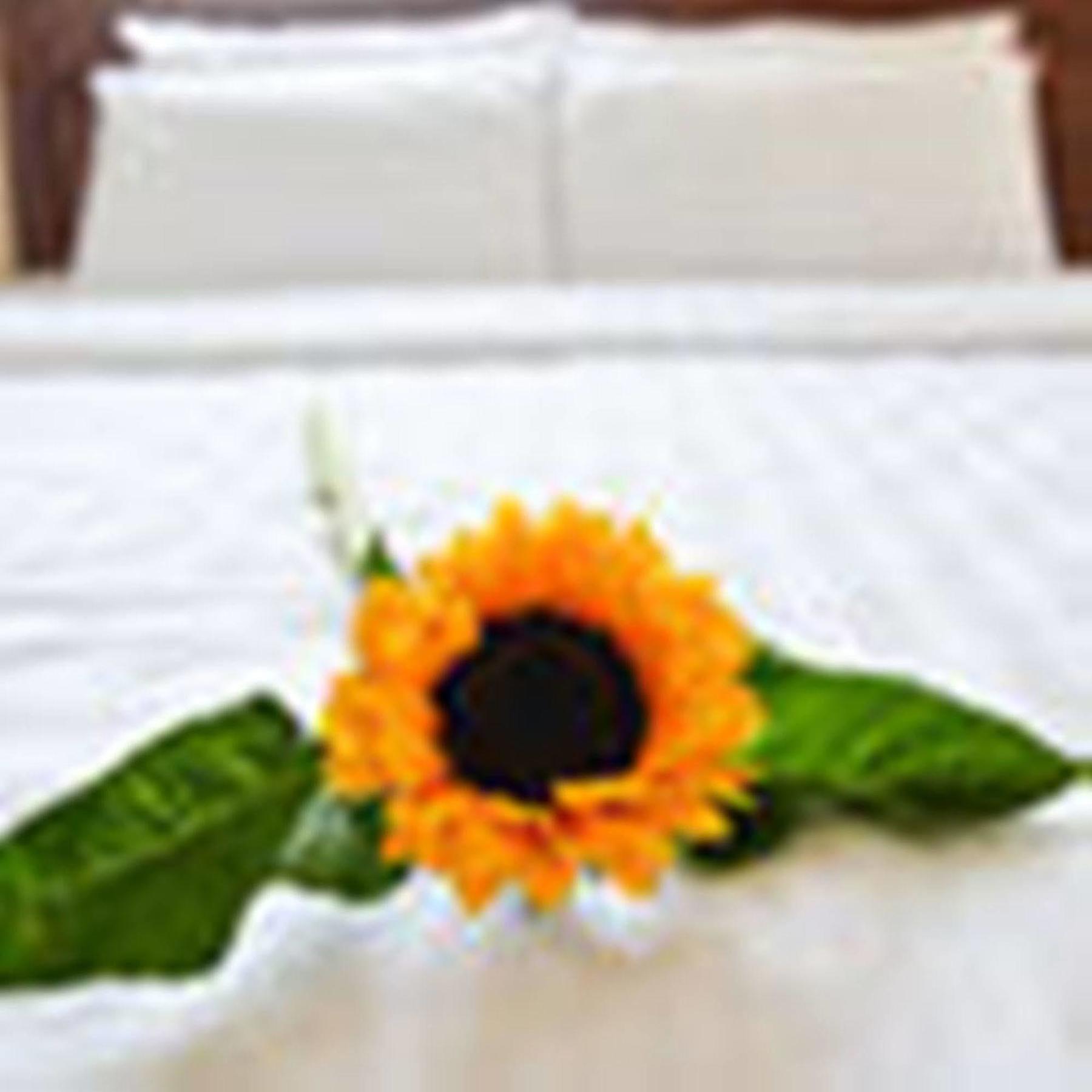 Fulmar Hotel Danang Exterior photo